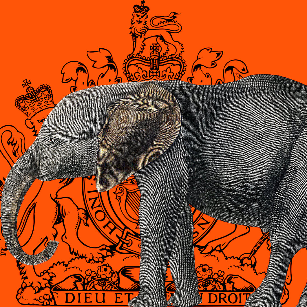 Royal Elephant (Orange) - Chloe Rox Design - Digital print - UK Art