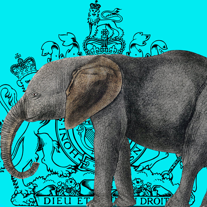 Royal Elephant (Tourqoise) - Chloe Rox Design - Digital print - UK Art