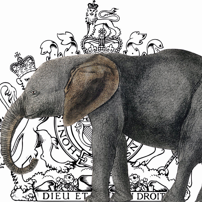 Royal Elephant (white) - Chloe Rox Design - Digital print - UK Art