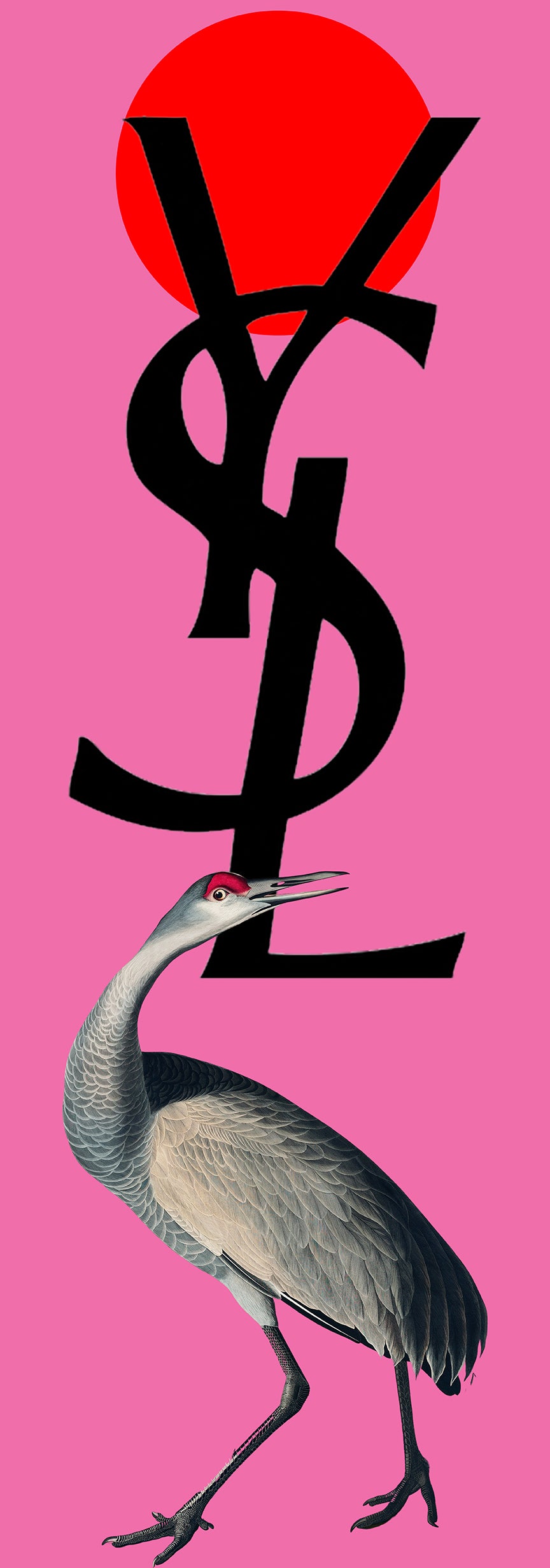 Crane YSL (Pink) - Chloe Rox Design - Digital print - UK Art