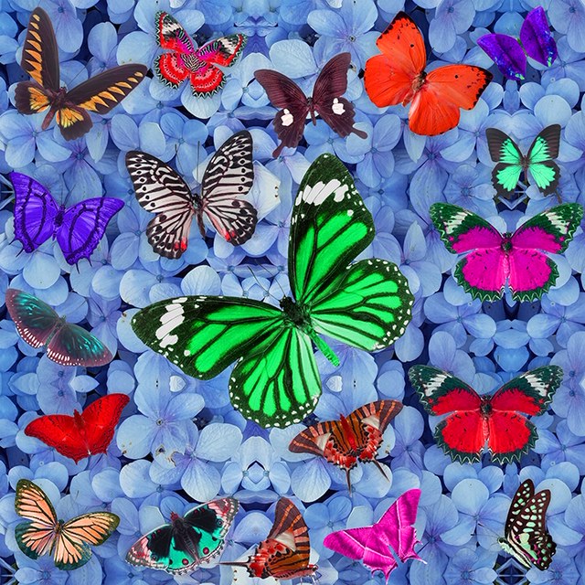 Butterfly Heaven Blue Embellished - Chloe Rox Design - Digital print - UK Art