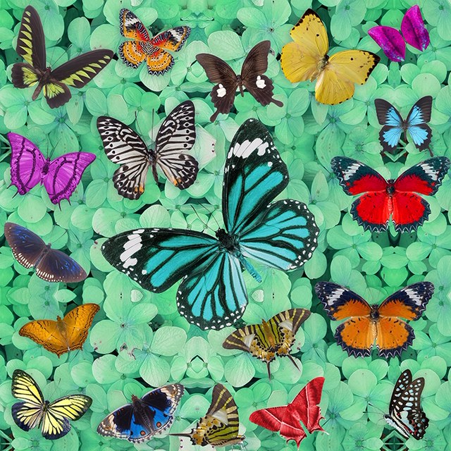 Butterfly Heaven Green Embellished - Chloe Rox Design - Digital print - UK Art