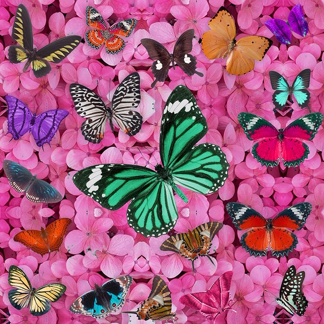 Butterfly Heaven pink Embellished - Chloe Rox Design - Digital print - UK Art