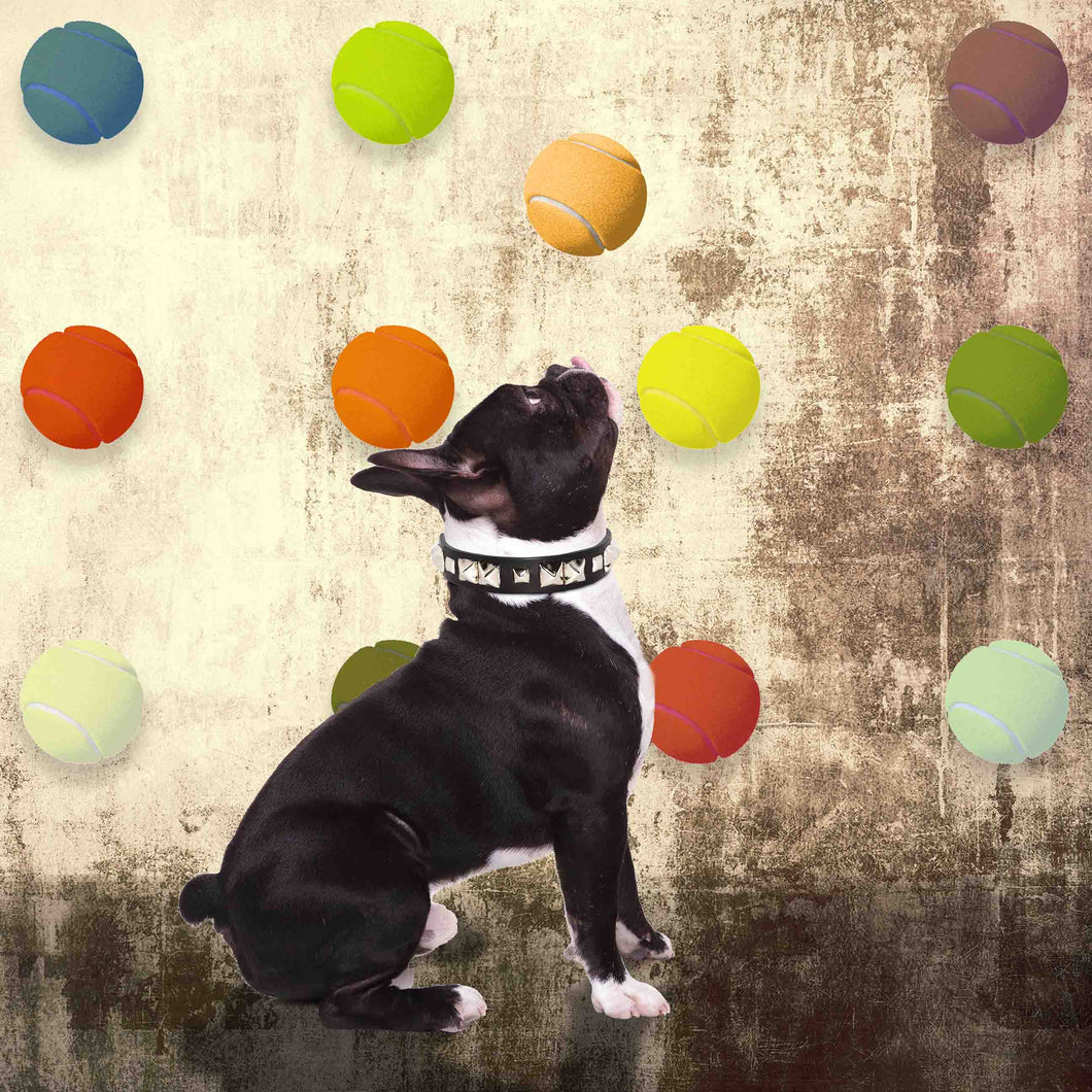 SPOT THE DOG - Chloe Rox Design - Digital print - UK Art