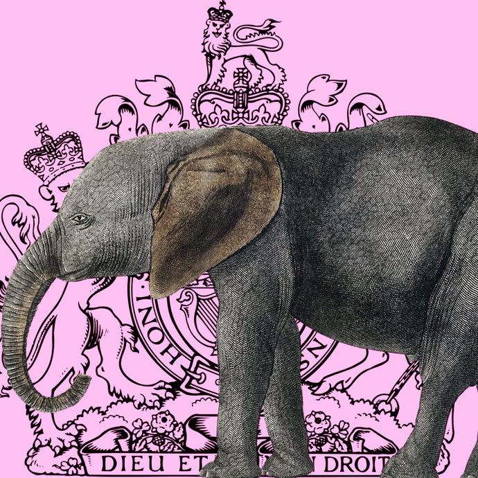 Royal Elephant (Pink) - Chloe Rox Design - Digital print - UK Art