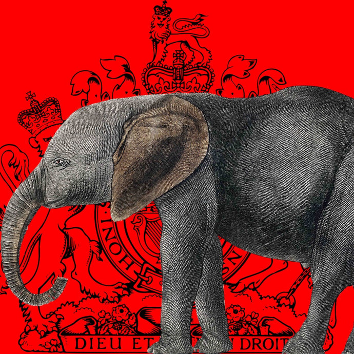 Royal Elephant (Red) - Chloe Rox Design - Digital print - UK Art