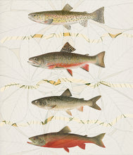 Load image into Gallery viewer, Four Fish - Chloe Rox Design - Digital print - UK Art
