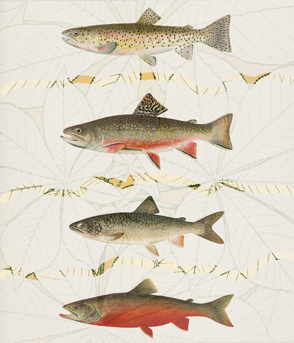 Four Fish - Chloe Rox Design - Digital print - UK Art
