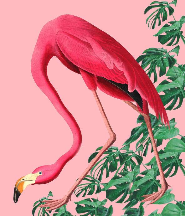 Flamingo on pink - Chloe Rox Design - Digital print - UK Art
