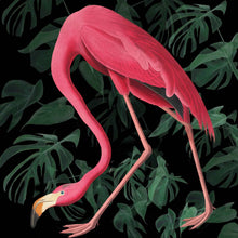 Load image into Gallery viewer, Flamingo (Black foliage) - Chloe Rox Design - Digital print - UK Art

