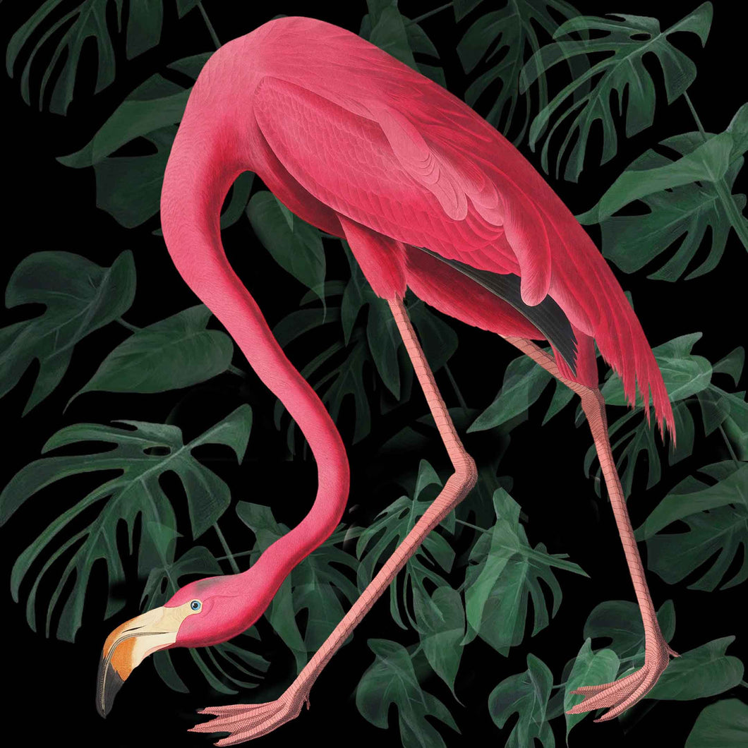 Flamingo (Black foliage) - Chloe Rox Design - Digital print - UK Art