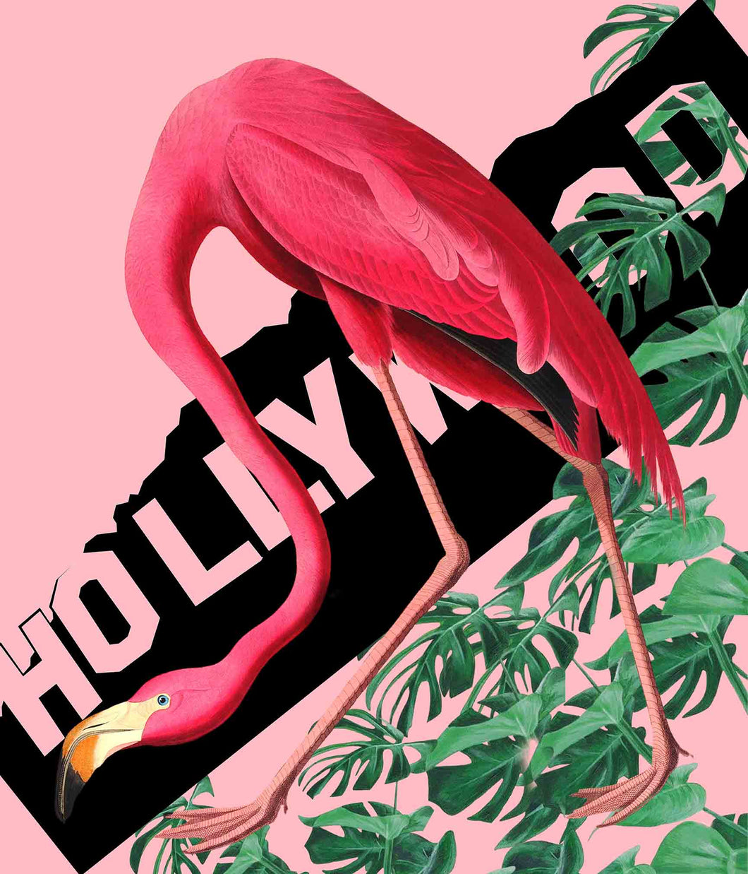 Hollywood Flamingo - Chloe Rox Design - Digital print - UK Art