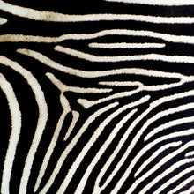 Load image into Gallery viewer, Zebra print 2 - Chloe Rox Design - Digital print - UK Art
