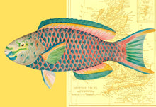 Load image into Gallery viewer, Fish Map - Chloe Rox Design - Digital print - UK Art
