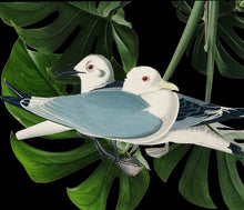 Load image into Gallery viewer, Gulls (black foliage) - Chloe Rox Design - Digital print - UK Art
