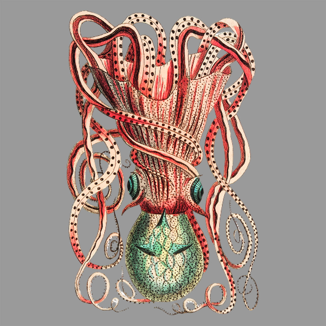 Octopus - Chloe Rox Design - Digital print - UK Art