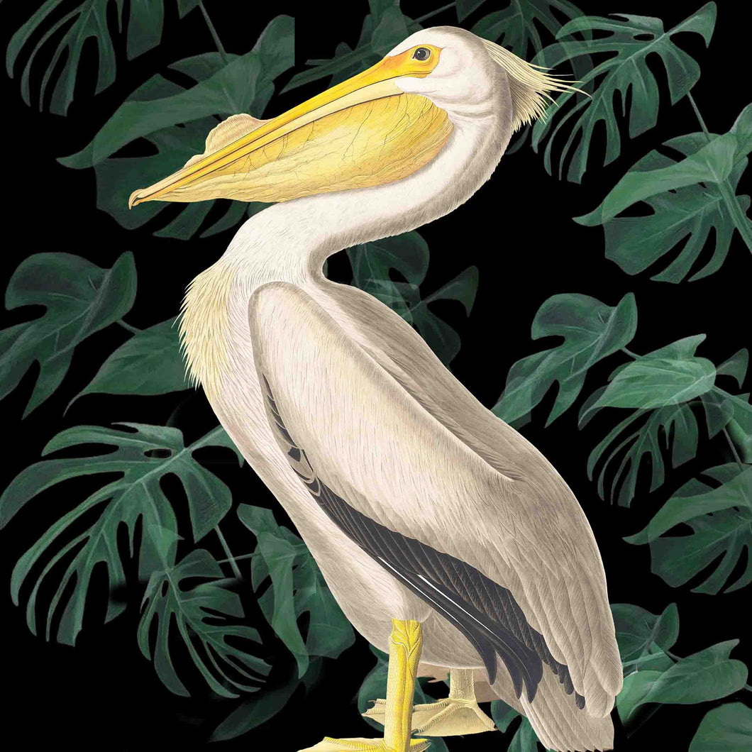 Pelican (Black foliage) - Chloe Rox Design - Digital print - UK Art
