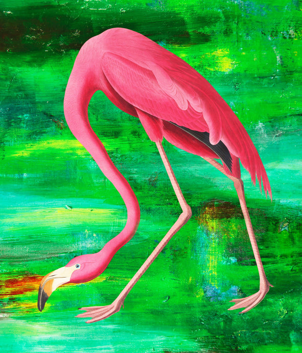 Flamingo on green - Chloe Rox Design - Digital print - UK Art