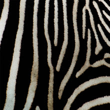 Load image into Gallery viewer, Zebra print 1 - Chloe Rox Design - Digital print - UK Art
