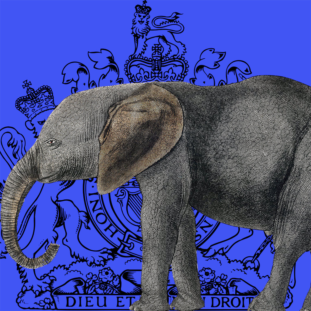 Royal Elephant (Dark Blue) - Chloe Rox Design - Digital print - UK Art