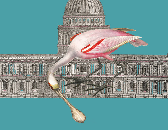 Spoonbill & St Pauls (Teal) - Chloe Rox Design - Digital print - UK Art