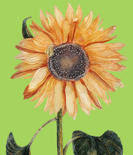Load image into Gallery viewer, Sunflower 1 (Green) - Chloe Rox Design - Digital print - UK Art
