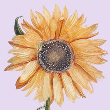 Load image into Gallery viewer, Sunflower 2  (Pink) - Chloe Rox Design - Digital print - UK Art
