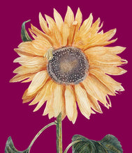 Load image into Gallery viewer, Sunflower 1  (cerise) - Chloe Rox Design - Digital print - UK Art
