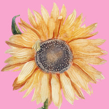 Load image into Gallery viewer, Sunflower (Pink) - Chloe Rox Design - Digital print - UK Art
