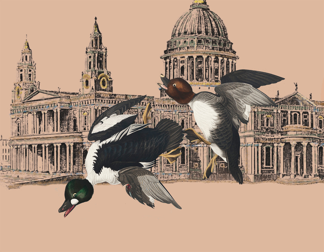 Two ducks in London - Chloe Rox Design - Digital print - UK Art