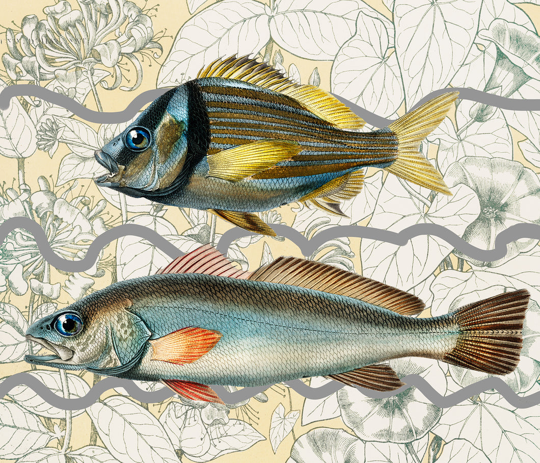 Two Fish - Chloe Rox Design - Digital print - UK Art